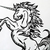 Denis Brun - Dessins