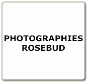 Denis Brun - Photographies Rosebud